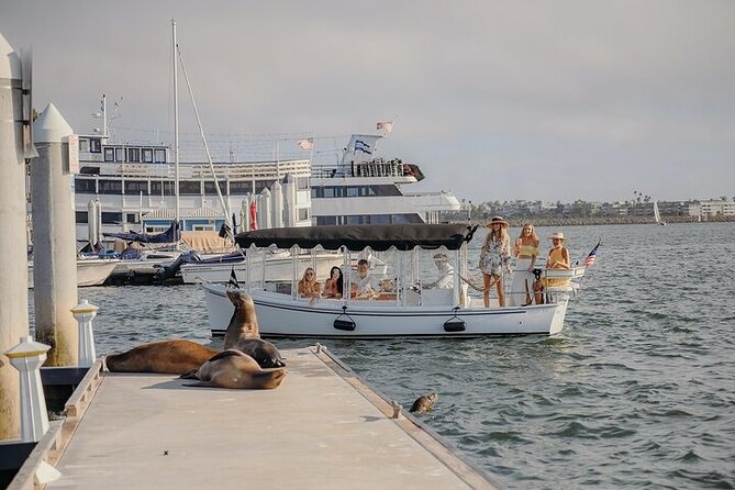 Private Luxury E-Boat Cruise With Wine, Charcuterie & Sea Lions Spotting - Captivating Sea Lion Encounters