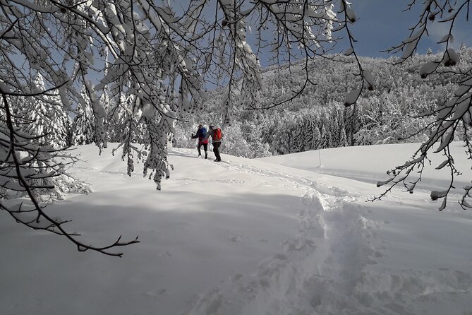 Private Mountain Snowshoe Hike From Chamonix - Last Words