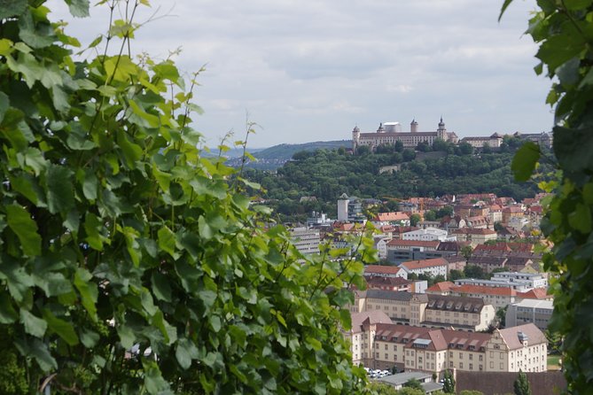 Private Mulled Wine Tour in Würzburg - Common questions