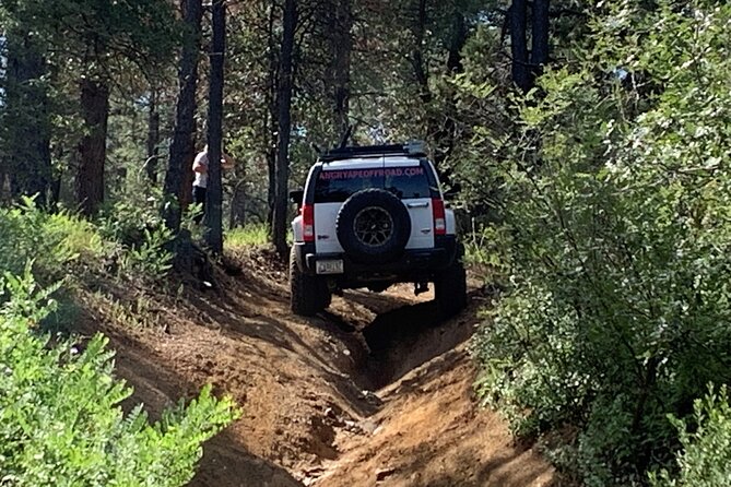Private Off Road Adventure Tours in the Prescott National Forest - Common questions