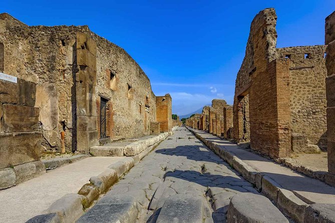 Private Pompeii Day Trip From Rome by Fast Train to Naples and Car Service - Additional Details