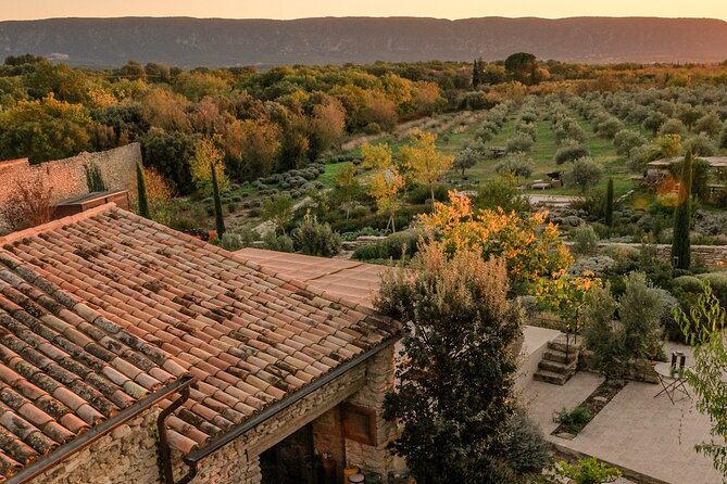 Private Provence Olive Estate Tour and Olive Oil Workshop - Directions