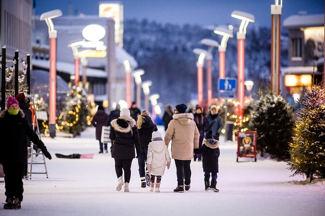 PRIVATE Santa Village and Rovaniemi Tour by VIP Car - Customer Reviews