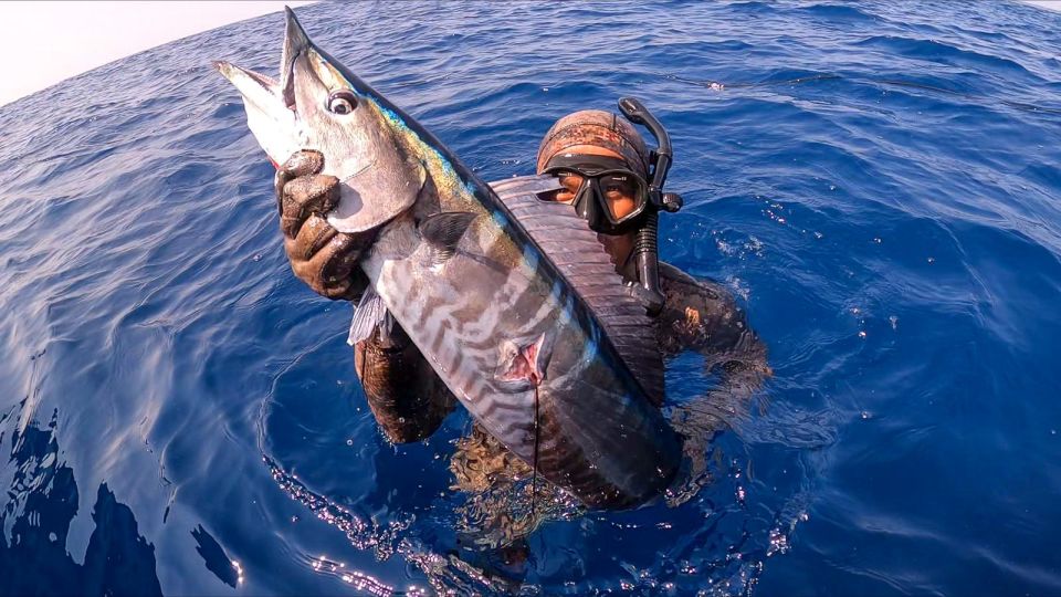 Private Sayulita Spearfishing: Inshore Adventure All Levels - Additional Information and Options