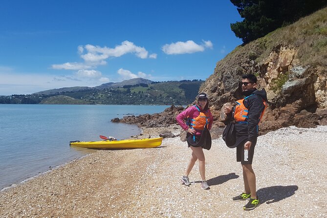 Private Sea Kayaking Tour From Christchurch/Lyttleton - Last Words