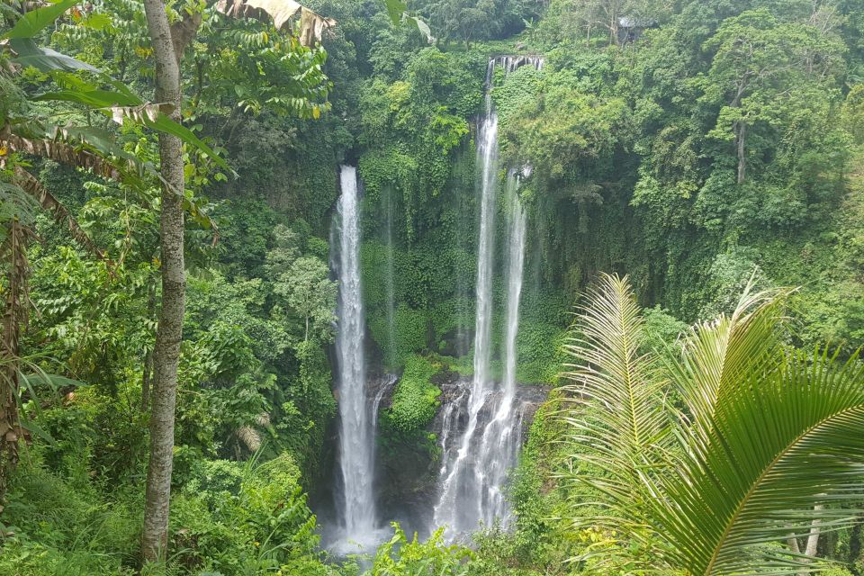 Private Sekumpul Waterfall Hiking Tour - Tour Description