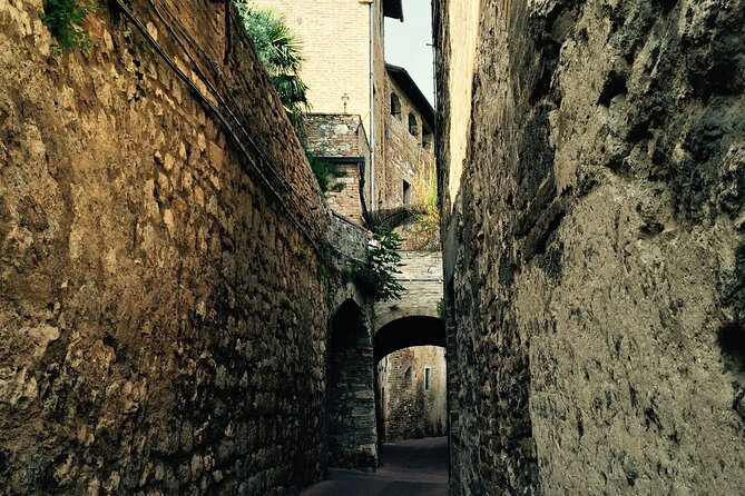 Private Siena and San Gimignano Tour With Wine Tasting From Rome - Miscellaneous