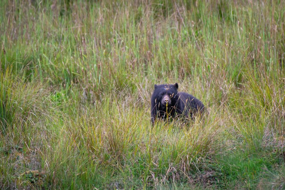 Private Sight Tour Chingaza Paramo From Bogota, Andean Bear - Essential Equipment