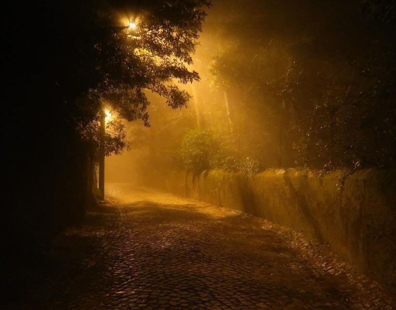 Private Sintra Night Walk: "Dreams in the Woods" - Participant Information