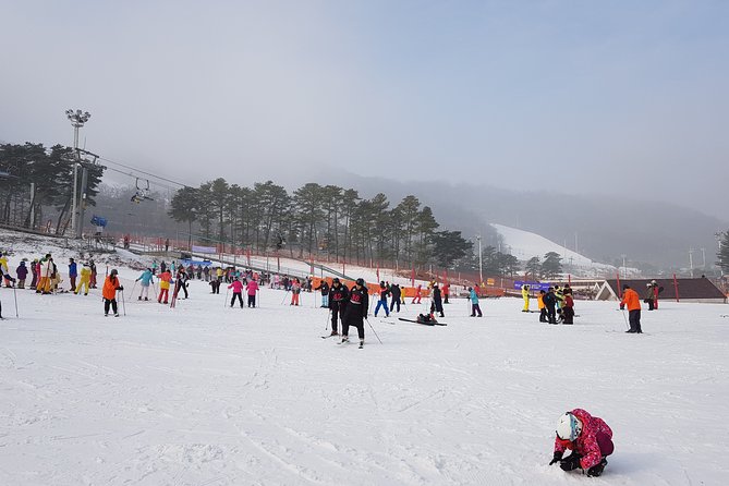 PRIVATE SKI TOUR in Pyeongchang Olympic Ski Resort(More Members Less Cost) - Cost Savings With More Members