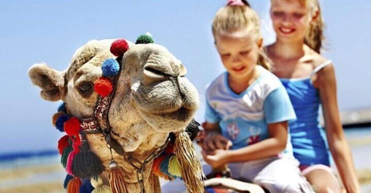 Private Tangier Tour With Lunch and Camel Ride - Common questions