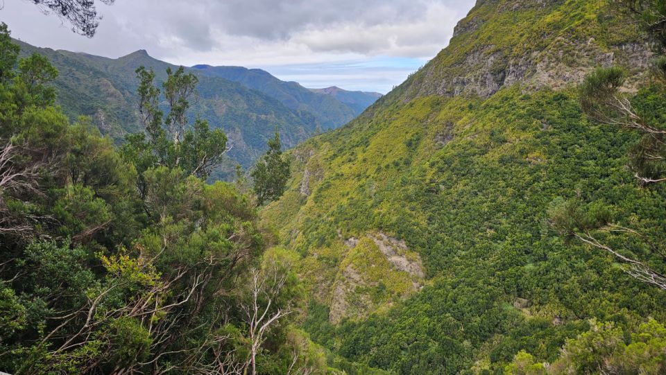 Private Tour : 25 Fontes Levada Hike - Private Group Benefits