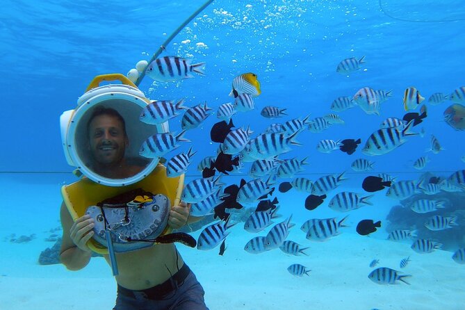 Private Tour: Aqua Safari Scuba Diving - Additional Information