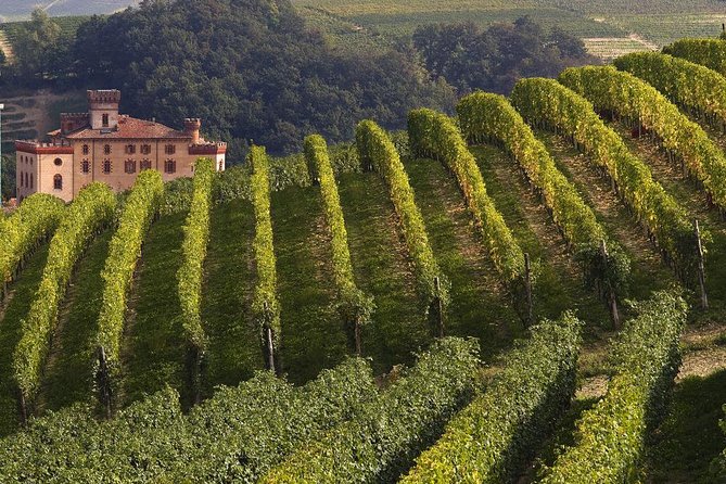 Private Tour: Barolo Wine Tasting in Langhe Area From Torino - Additional Information