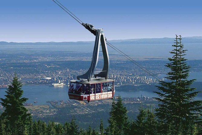 Private Tour: Capilano Suspension Bridge and Grouse Mountain - Common questions