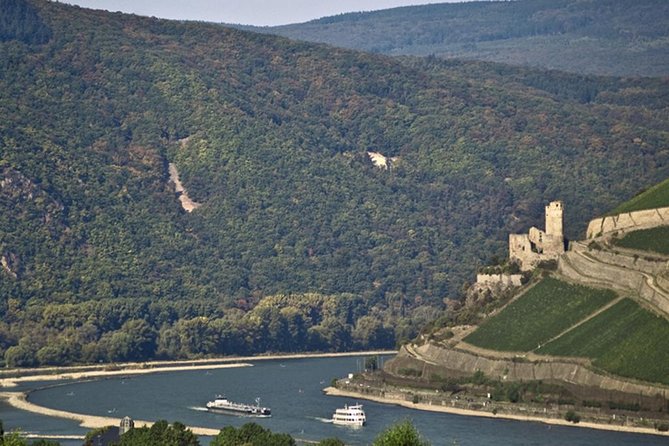 Private Tour: Customizable Rhine Valley Day Trip From Frankfurt - Reviews and Pricing