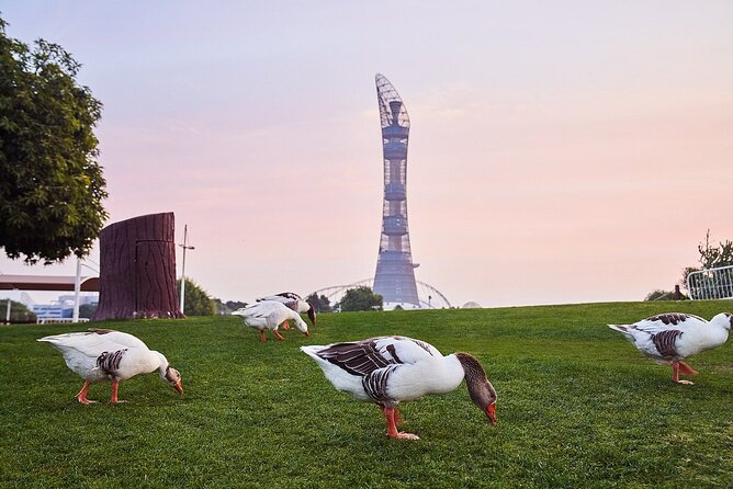 Private Tour Doha to Discover Musfur Sinkhole and Aspire Park - Booking Details