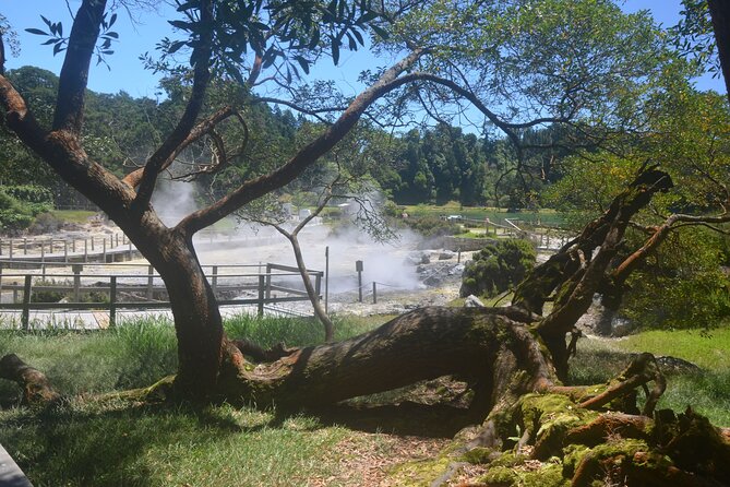 Private Tour Full-Day Furnas: Lake, Fumaroles and Thermal Pools - Common questions