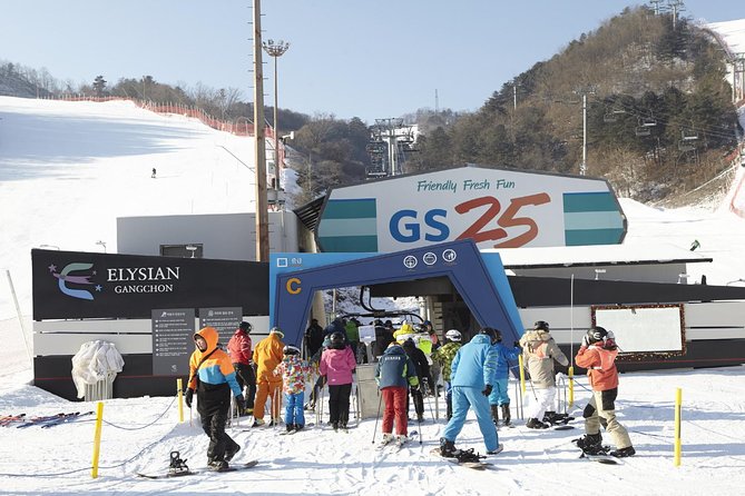 [Private Tour] Nami Island & Ski (Ski Lesson, Equip & Clothing Included) - How to Book and Terms