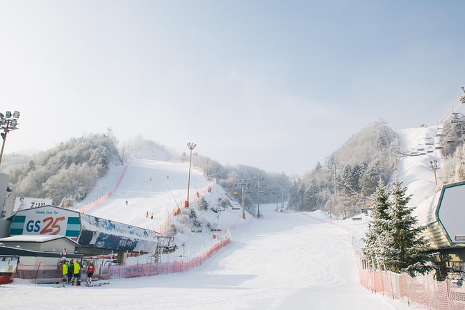 [Private Tour] Nami Island & Snow Viewing and Snow Sled (More Members Less Cost) - Cancellation Terms