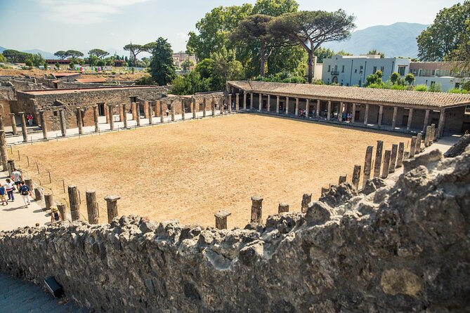 Private Tour of Pompeii and Mt Vesuvius From Sorrento - Meeting Point and Transportation Details