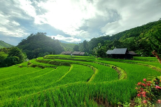 Private Tour to Doi Inthanon Including Twins Pagodas and Hiking - Tour Itinerary