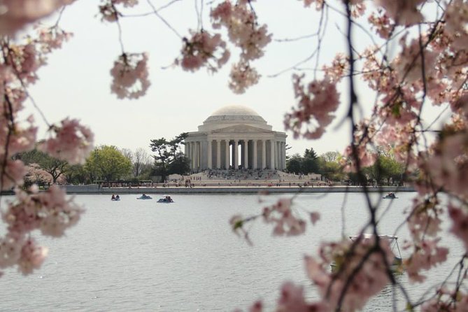 Private Tour to See the Monuments and Memorials in Washington DC - Private Tour Guide Experience