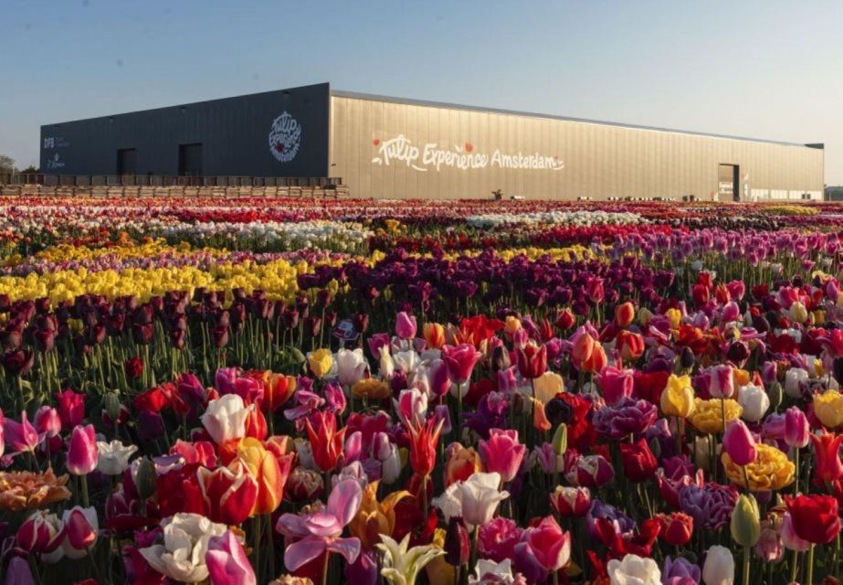 Private Tour to Tulip Experience, Keukenhof & Giethoorn - Booking Information