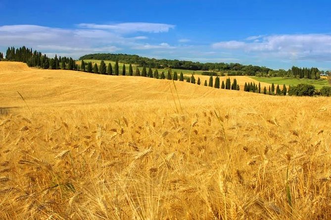 Private Tour: Tuscany Daytrip From Rome - Additional Traveler Reviews