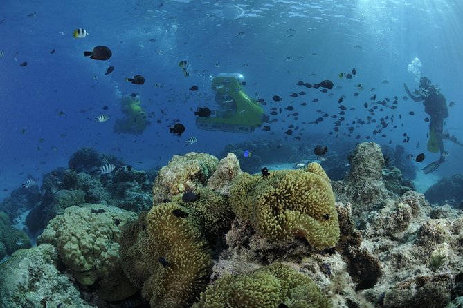 Private Tour: Underwater Scooter Bora Bora - Reviews Verification