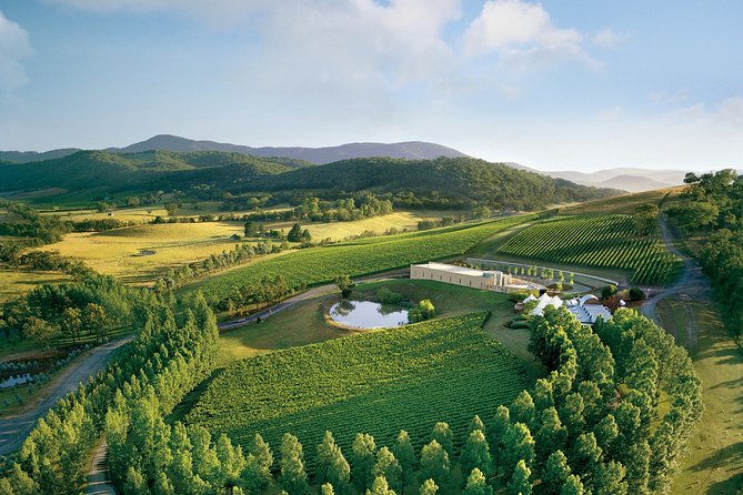 [PRIVATE TOUR] Yarra Valley Winery Day Tour - Customer Reviews