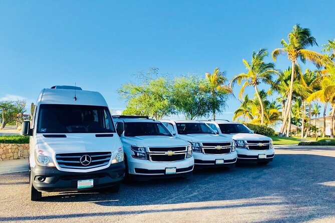 Private Transfer From Cairns Cruise Port to Cairns Airport (Cns) - Pickup Time Selection