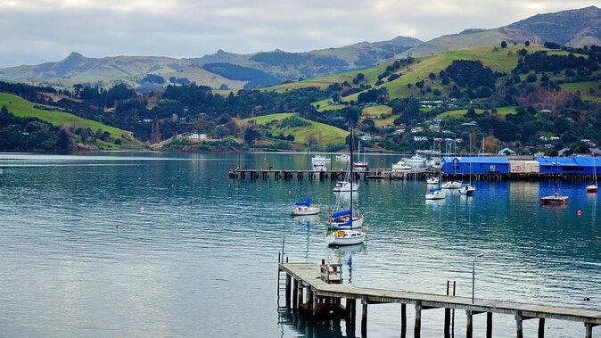 Private Transfer From Christchurch Airport (Chc) to Akaroa Port - Service Details and Accommodations