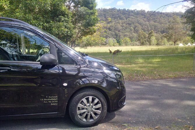 Private Transfer FROM Sydney CBD to Sydney Airport 1 to 5 People - Accessibility Information