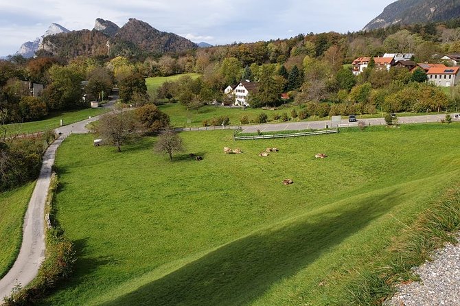 Private Trip From Zurich to Vaduz in Liechtenstein & Swiss Heidiland - Contact Details