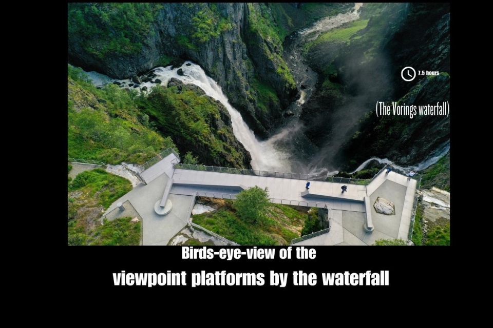 Private Trip to Vorings Waterfall (Norway's Most Visited) - Customer Reviews and Testimonials