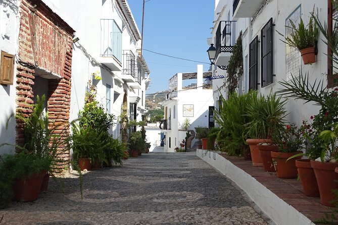Private Walking Tour Around the Old Town of Frigiliana - Last Words