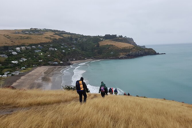 Private Walking Tour From Christchurch - Lyttelton & Godley Head - Last Words