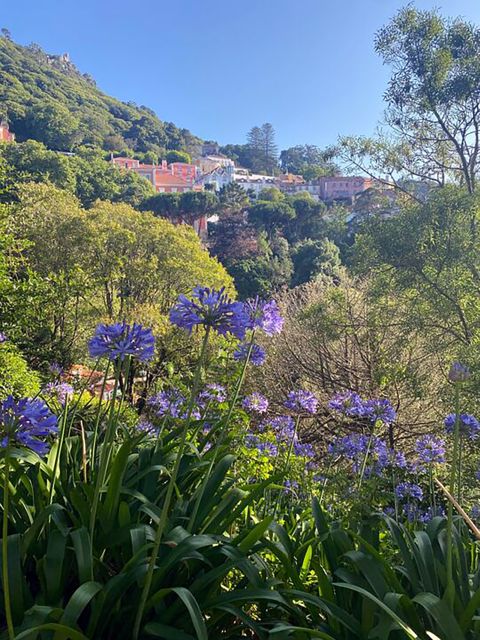 Private Walking Tour of Sintra Village Quinta Da Regaleira - Tour Directions