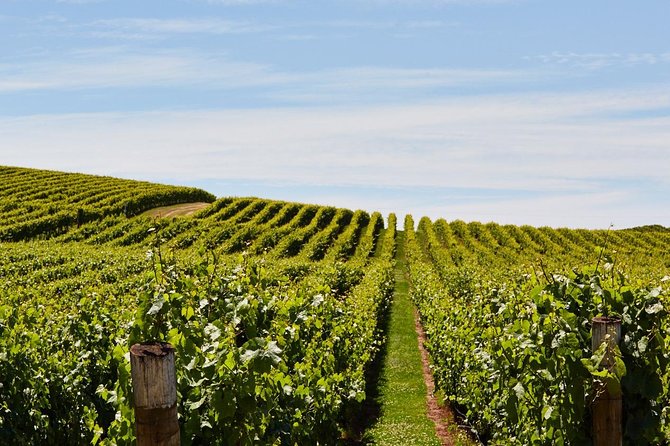 Private West Tamar Wine Tour - How to Book