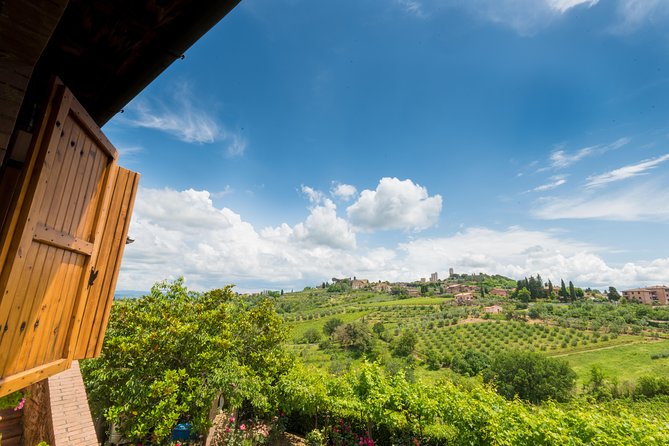 Private Wine & EVO Oil Tasting With Tuscan Meal - Tour Details