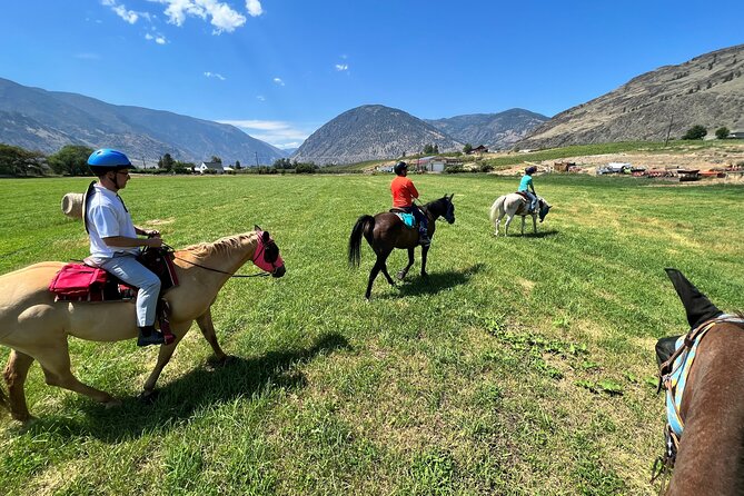Private Wine Tour With Horseback Riding and Lunch - Reviews and Contact Details