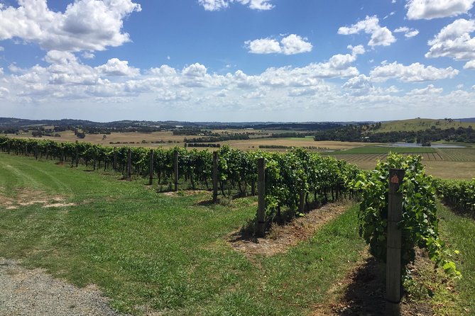 Private Yarra Valley Wine Tour - Gourmet Lunch Options