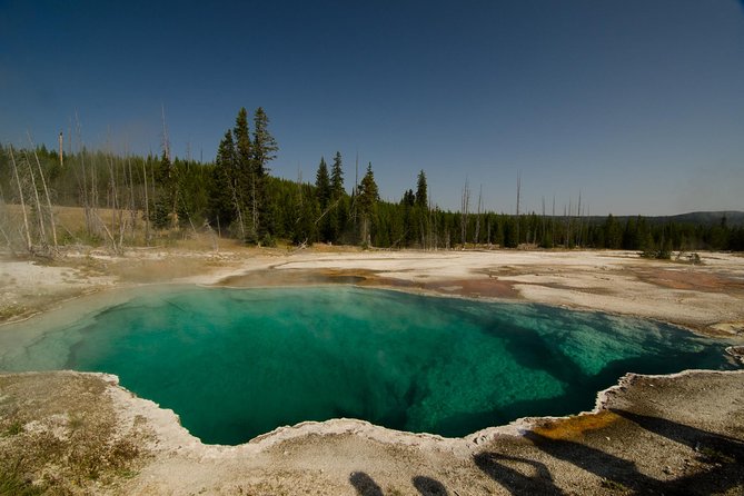 Private Yellowstone Old Faithful and Lower Loop Tour - Last Words