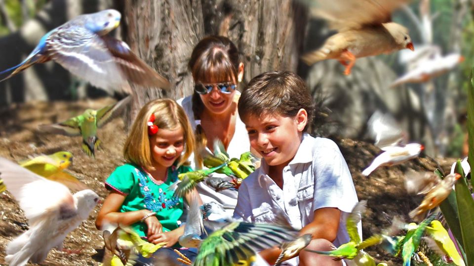 Puebla Africam Safari Park, Live an Unforgettable Adventure! - Safari Ride Adventure