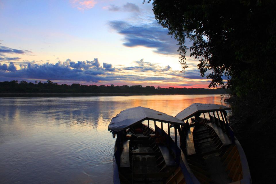 Puerto Maldonado: Parrot and Macaw Clay Lick Excursion. - Explore Tambopata National Reserve