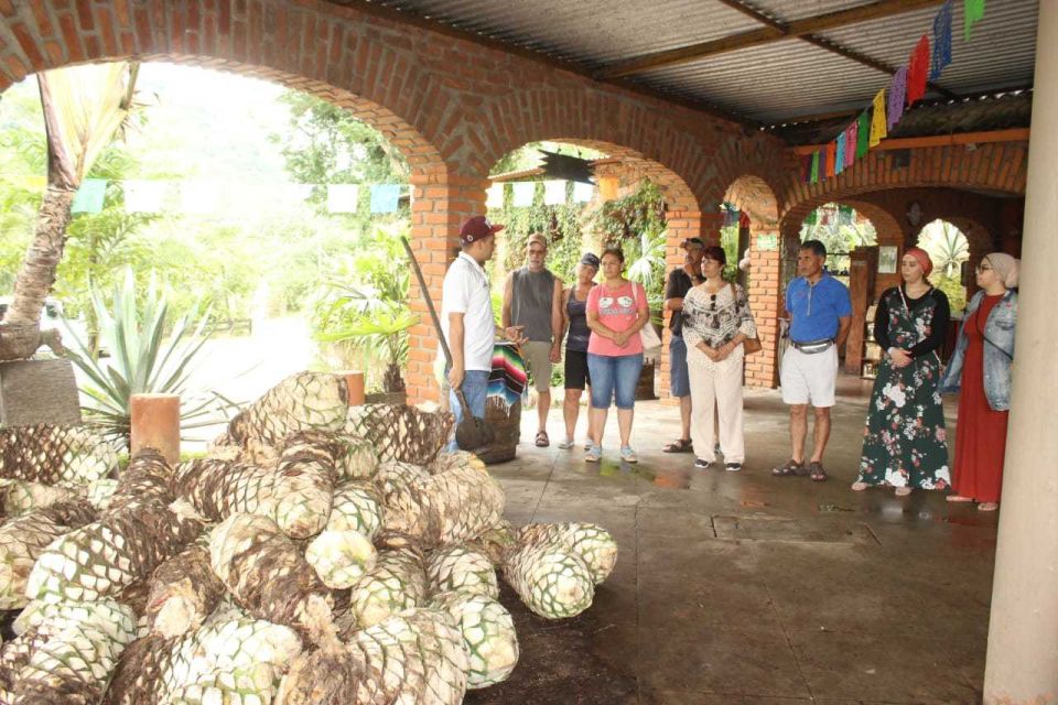 Puerto Vallarta: City Tour, Tequila and Coffee Factory Tour - Payment Options