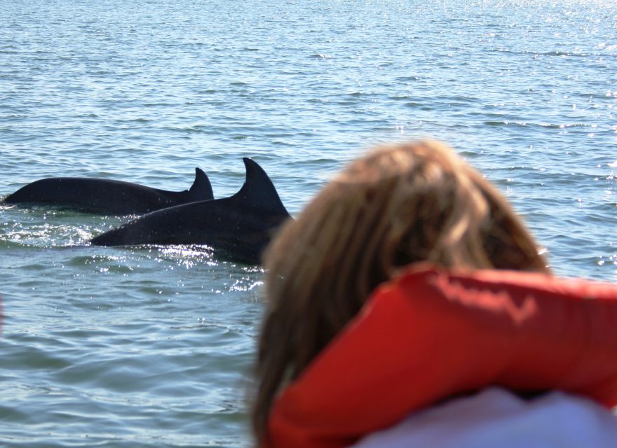 Puerto Vallarta: Dolphin Watching Cruise With a Biologist - Directions
