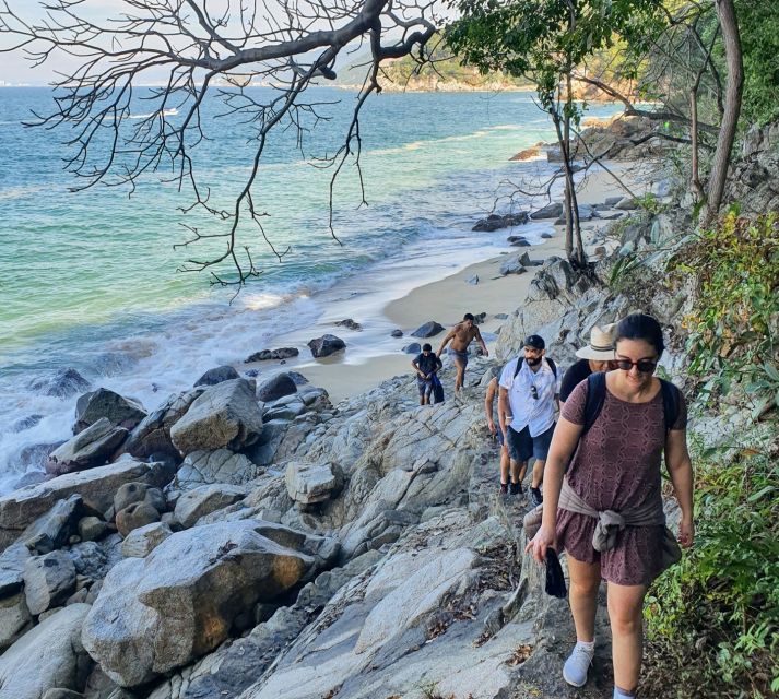 Puerto Vallarta: Full Day Hike to 6 Hidden Beaches & Snorkel - Key Points