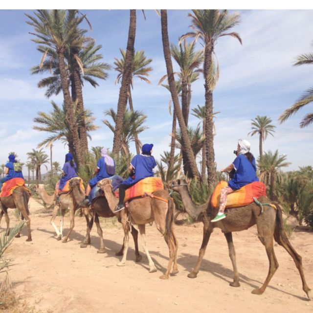 Quad Bike & Camel Ride Around Marrakech - Exclusions and Additional Information